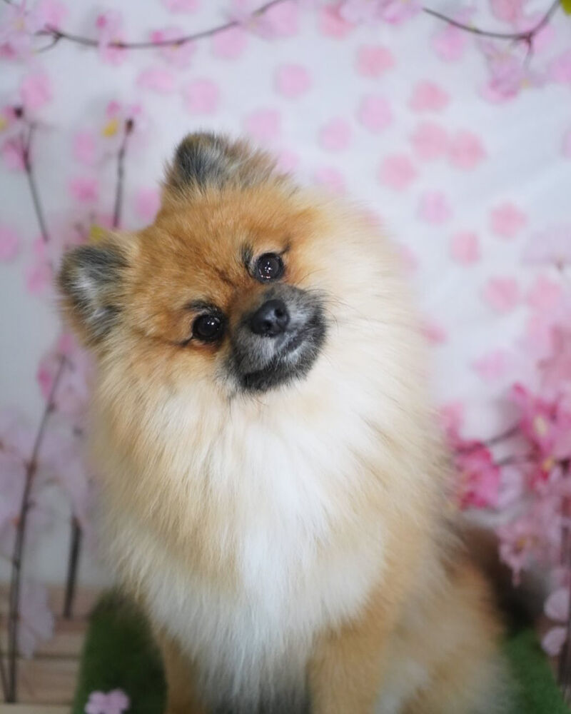 ブログ