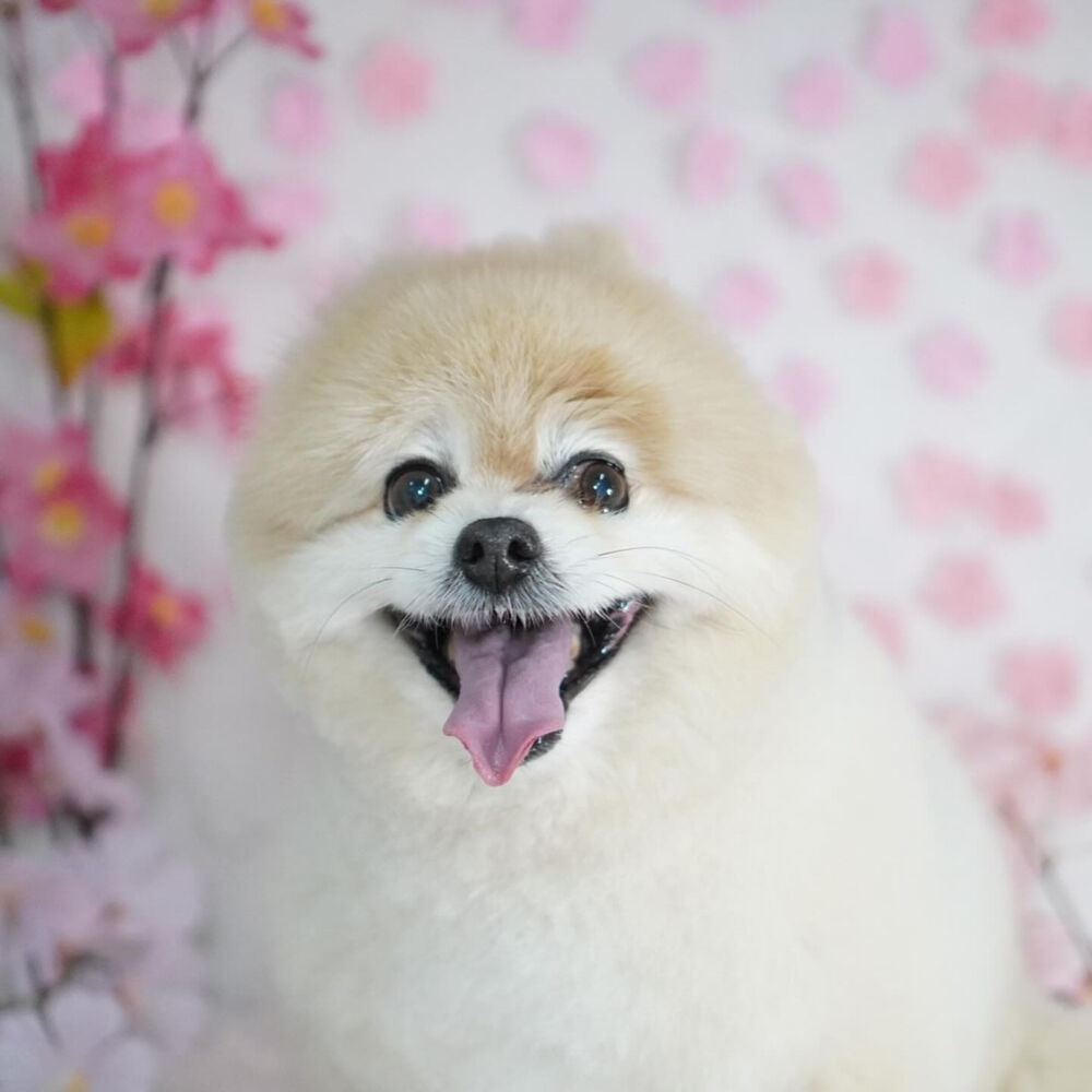 ブログ