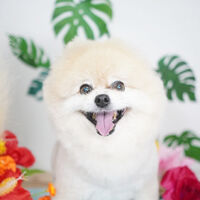 ブログ