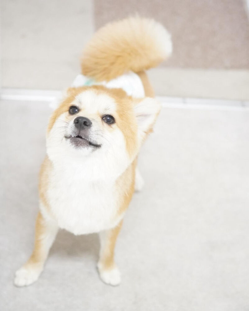 ブログ