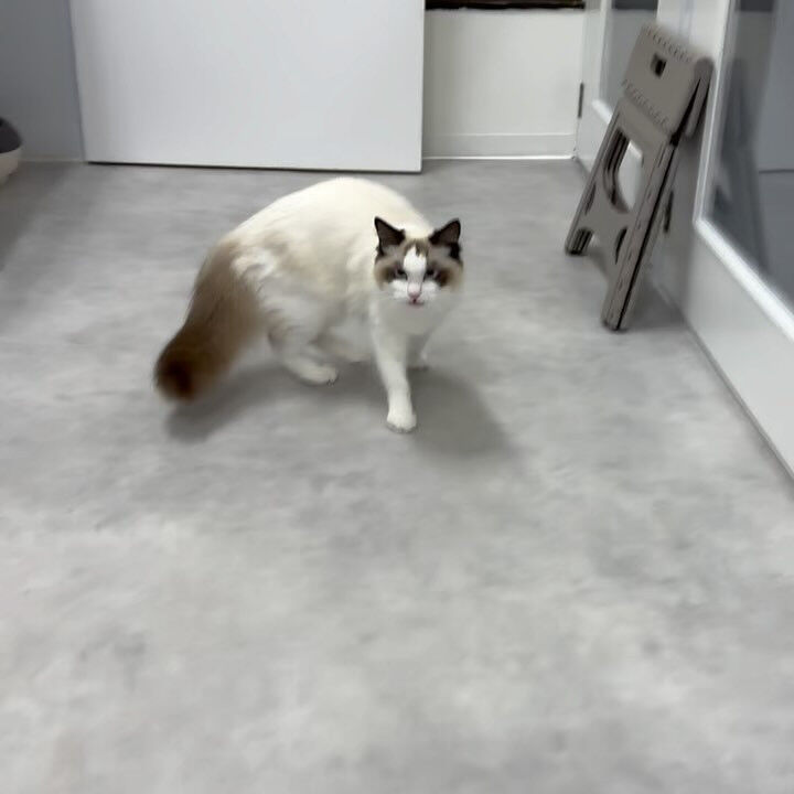 ブログ