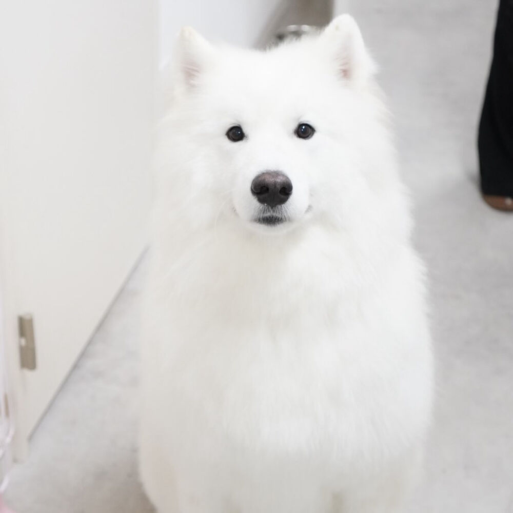 ブログ