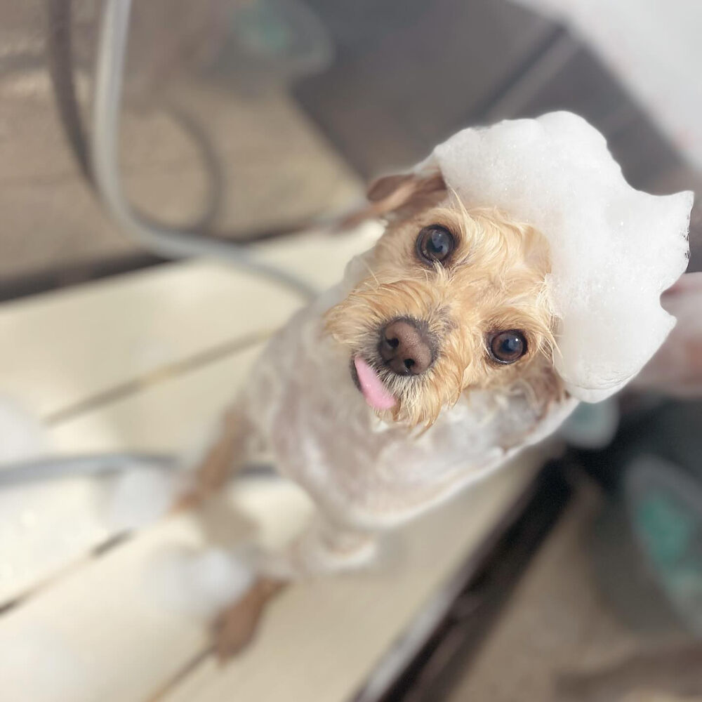 ブログ