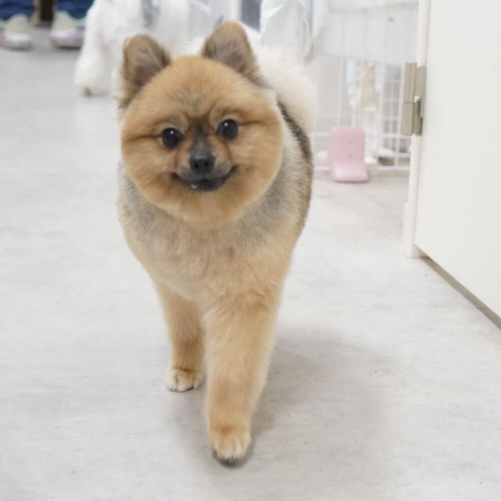 ブログ
