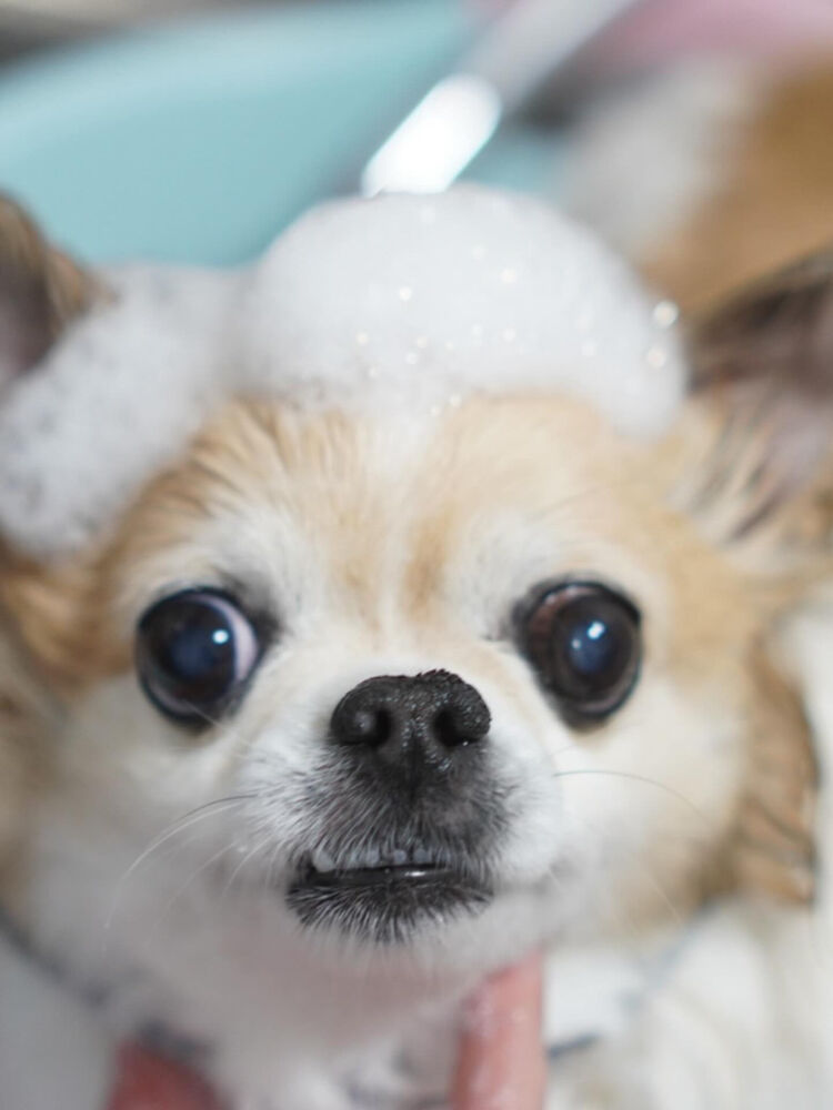 ブログ
