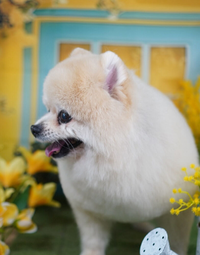 ブログ
