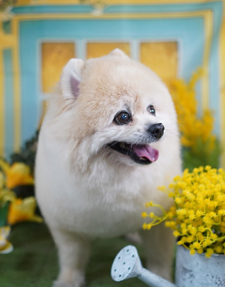 ブログ