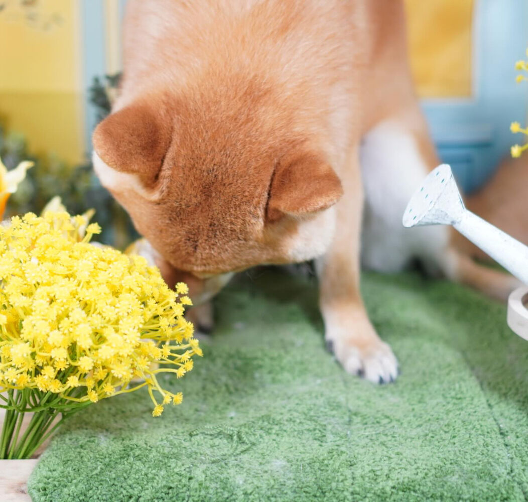 ブログ