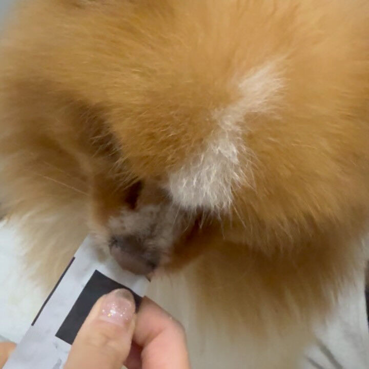 ブログ