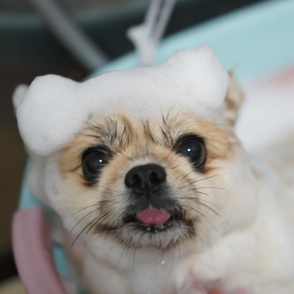 ブログ