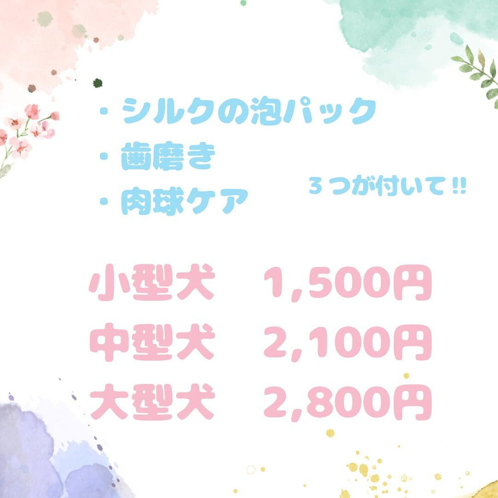 ブログ