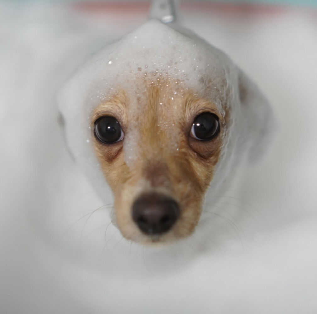 ブログ