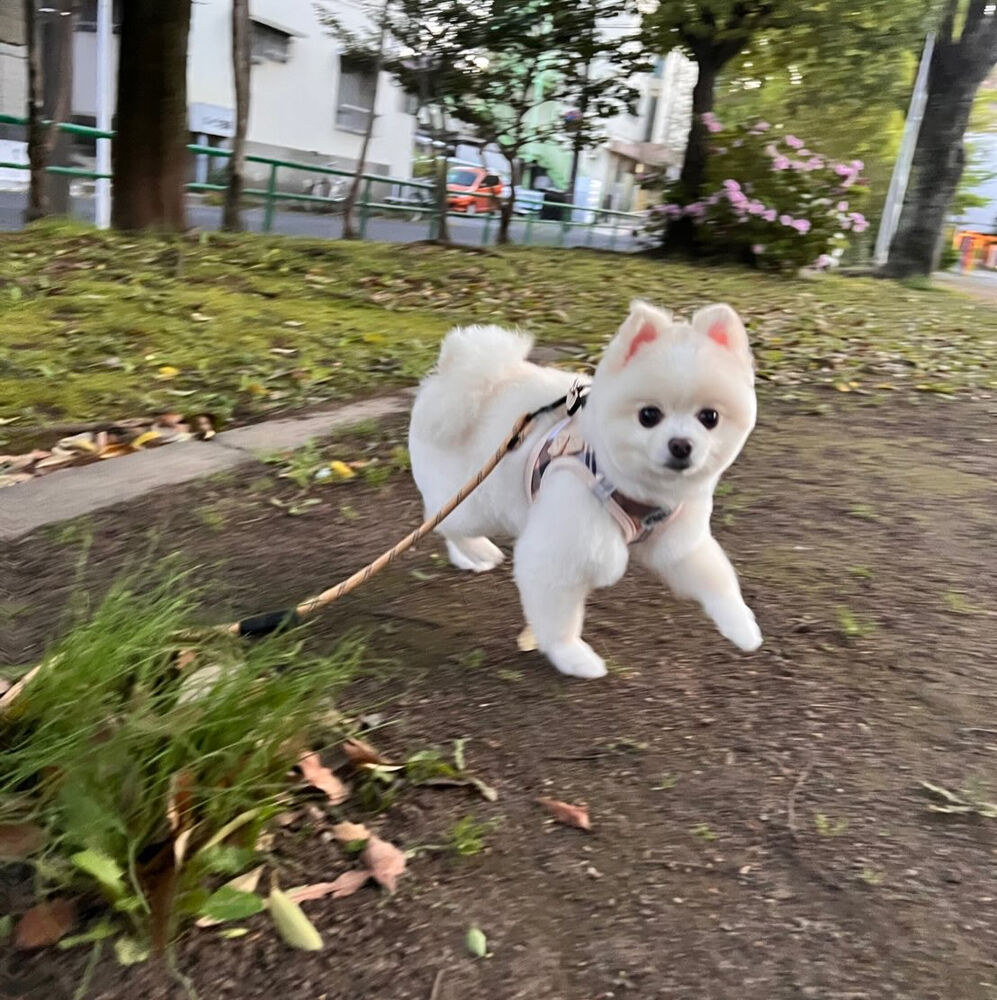 ブログ