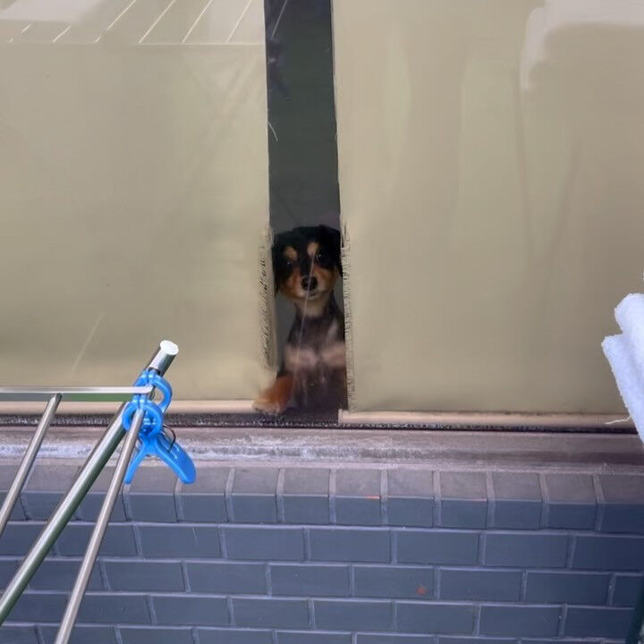 ブログ