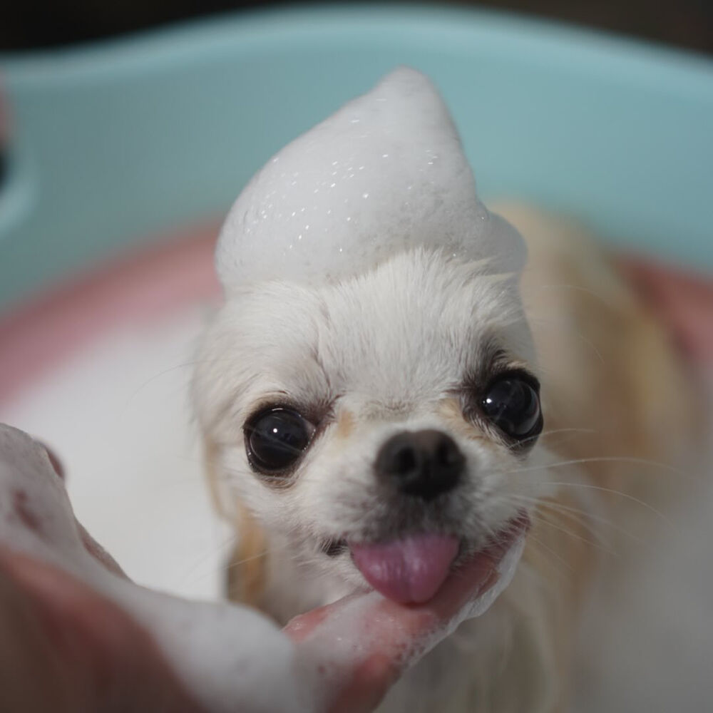 ブログ