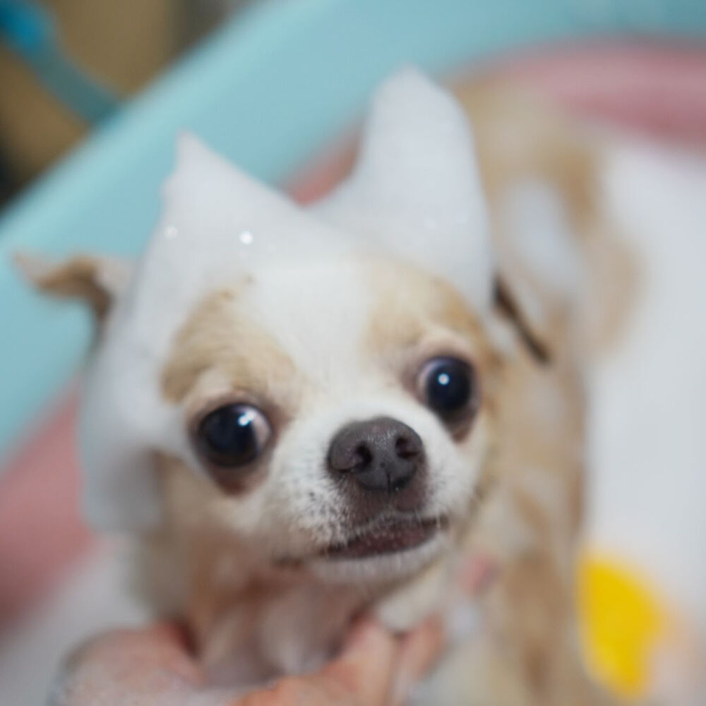 ブログ