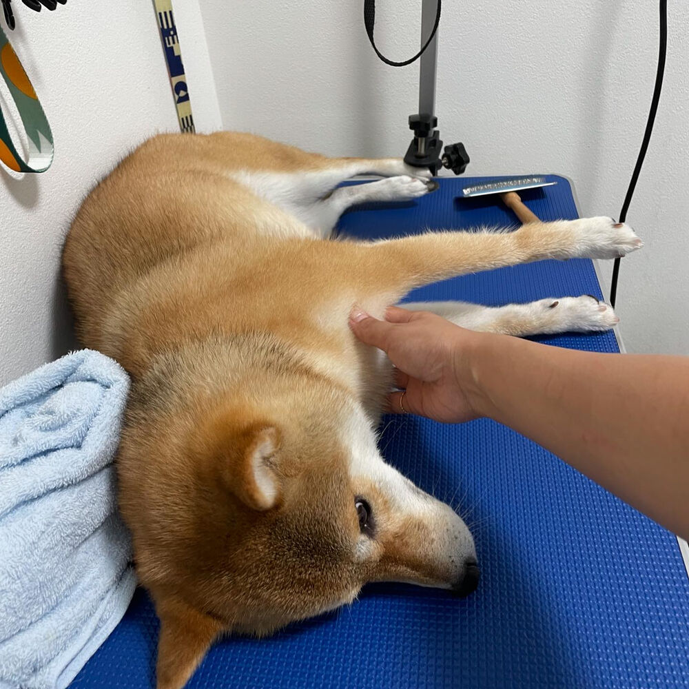 ブログ