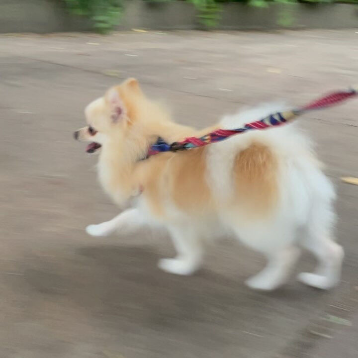 ブログ