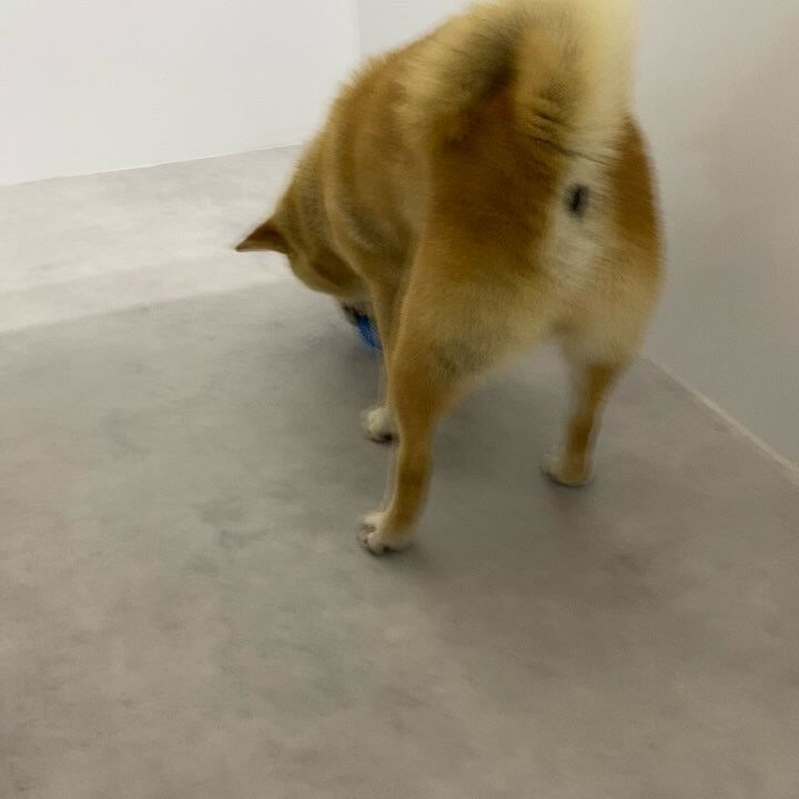 ブログ