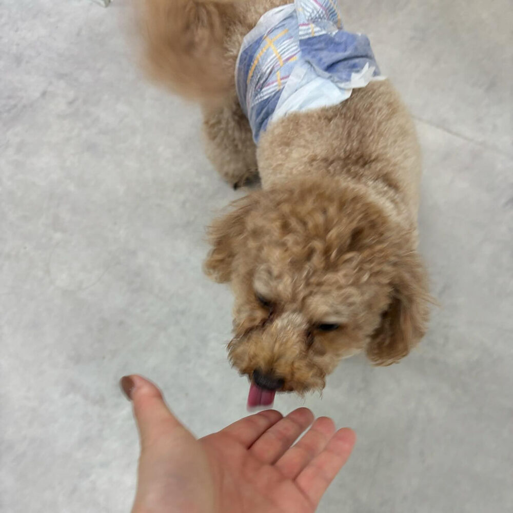 ブログ