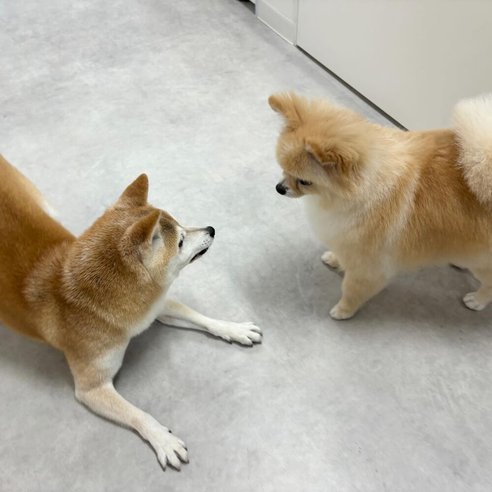 ブログ
