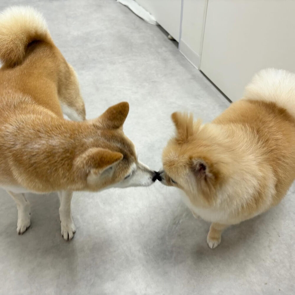 ブログ