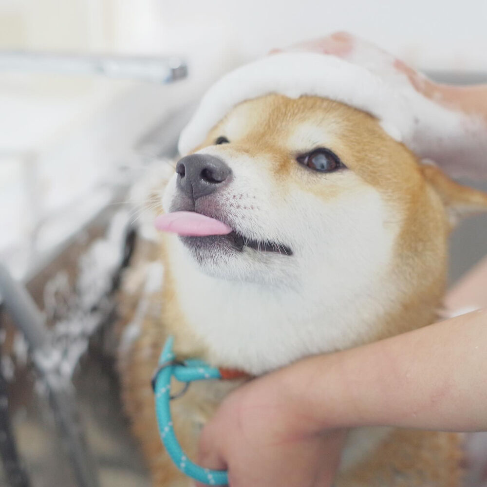 ブログ