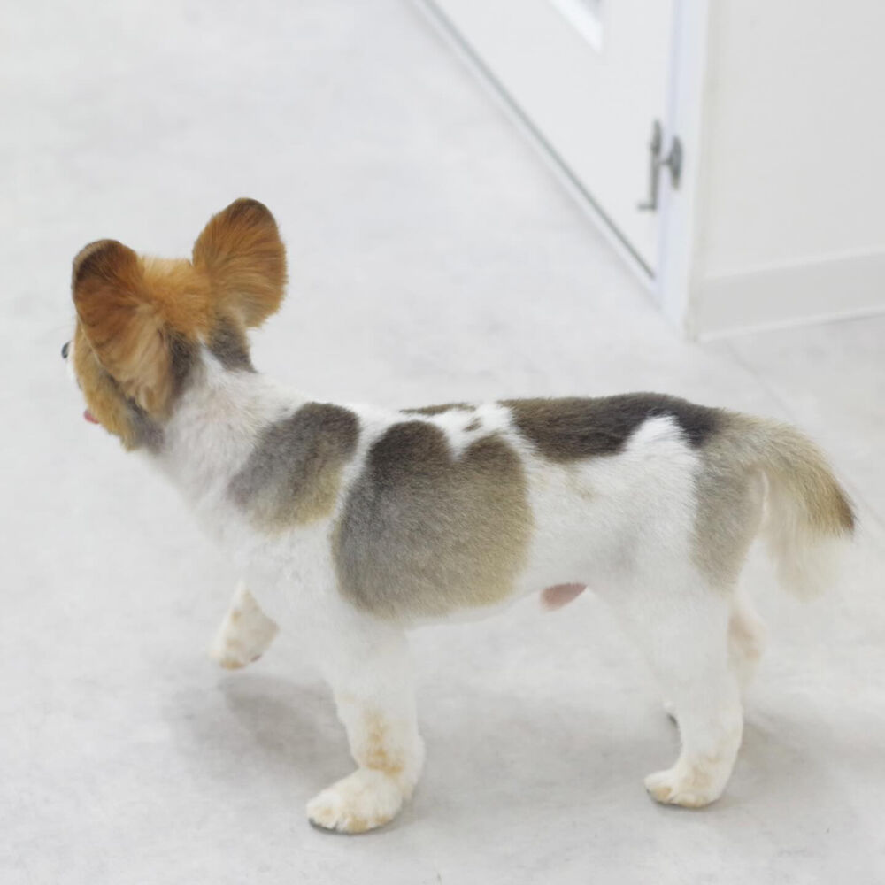 ブログ